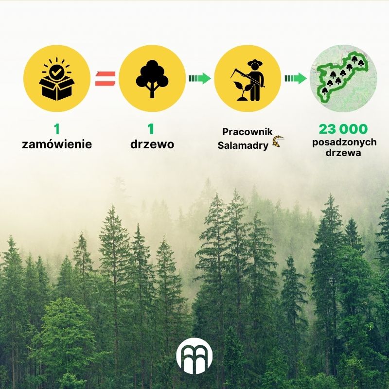 (Polština) Vysazování stromů